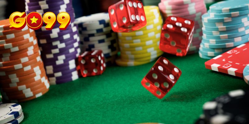 Quyền Lợi Của Người Chơi Khi Cá Cược Tại GO99
